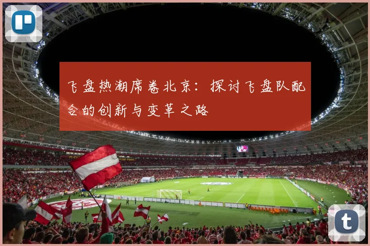 飞盘热潮席卷北京：探讨飞盘队配合的创新与变革之路